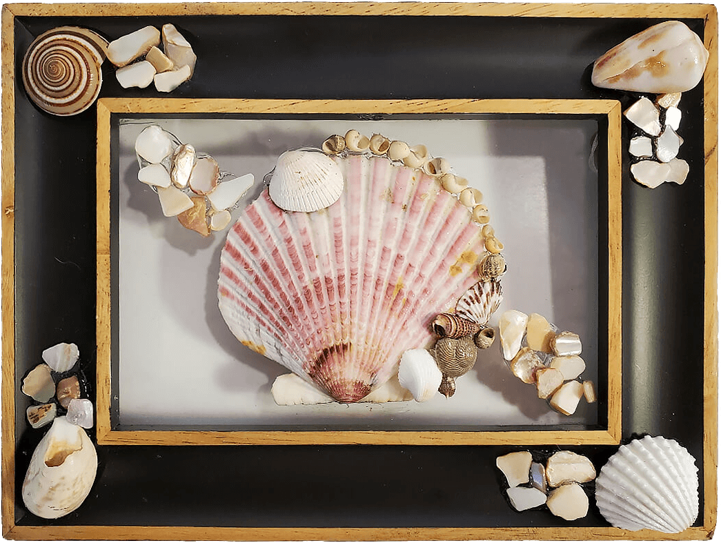 Shells and Glitter